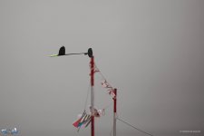 021-IMG_6197
