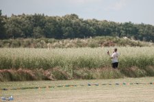 054-IMG_6439