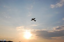 101-DSC_8833