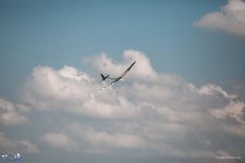 134-IMG_6910