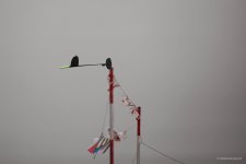 021-IMG_6197