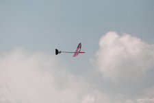 049-IMG_6382