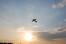 101-DSC_8833