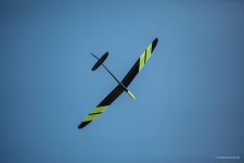 114-IMG_6728