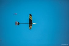 115-IMG_6733