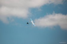 121-IMG_6783