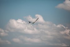 134-IMG_6910
