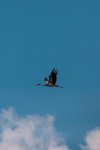 023-IMG_7326