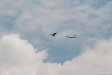 036-IMG_7405