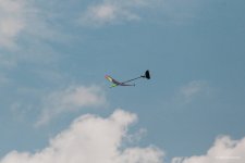 039-IMG_7429