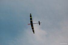 102-IMG_7952
