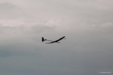163-IMG_8746