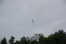 031-DSC_9091