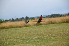 116-DSC_9230
