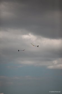 099-IMG_5228