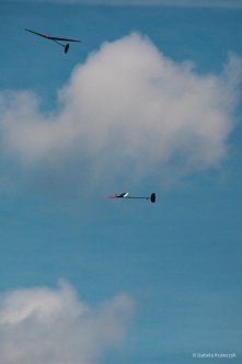 030-IMG_8199