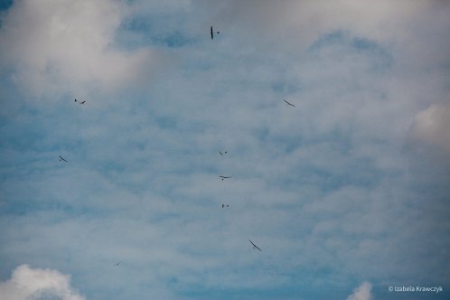 047-IMG_8350