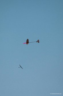 012-IMG_9046