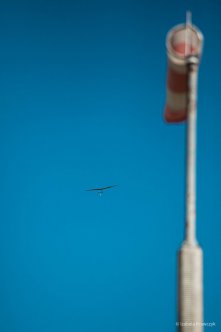 036-IMG_9141