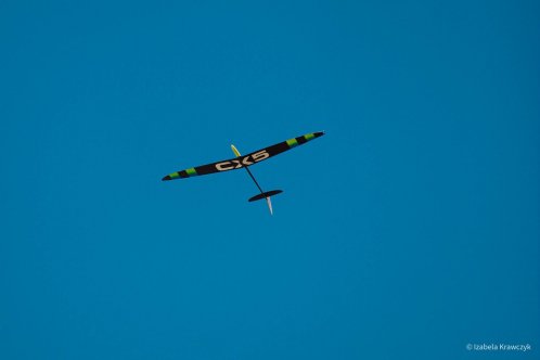 037-IMG_9142