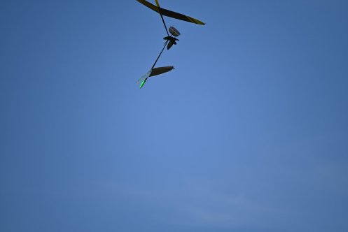 107-ARE_2785