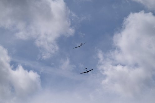 117-ARE_2841