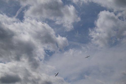 118-ARE_2845