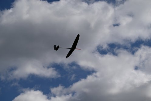 131-ARE_2891