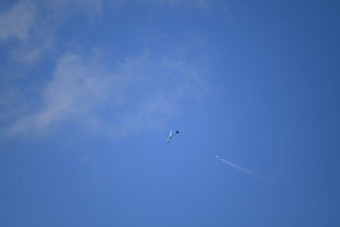073-ARE_3049