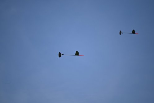 136-ARE_3116