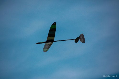 175-IMG_0775