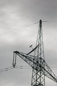 197-IMG_1015