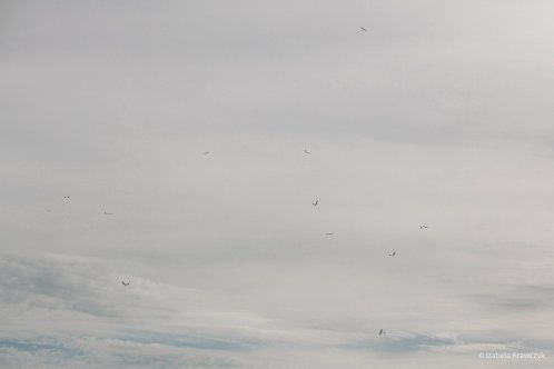 123-IMG_2511