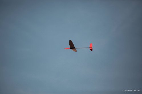 131-IMG_2599