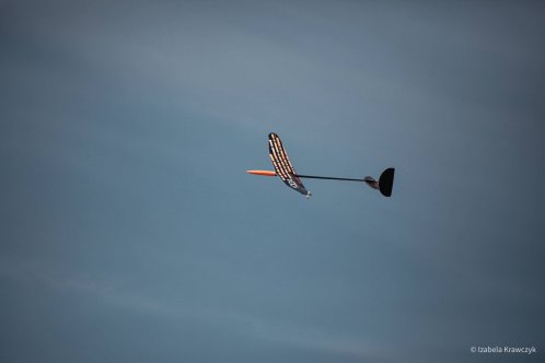 133-IMG_2617