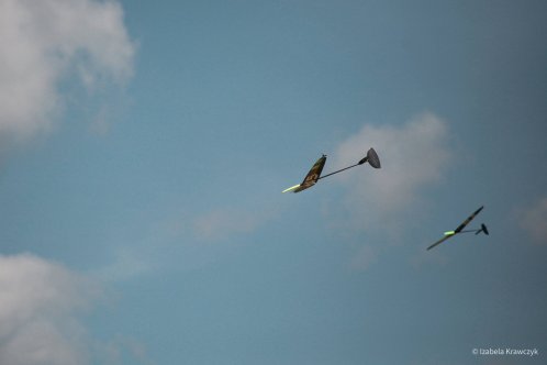140-IMG_2695