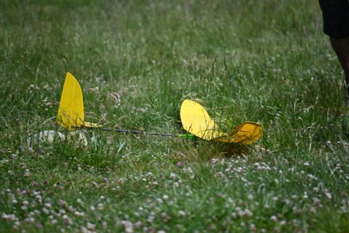 61-ARE_3765