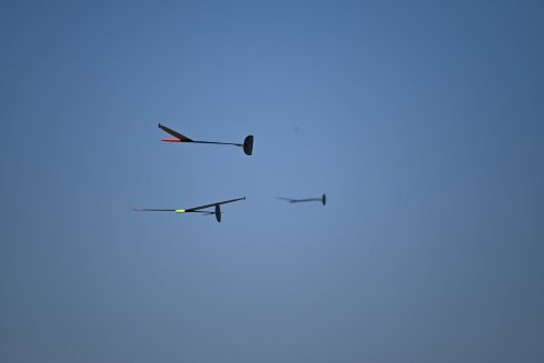 015-ARE_3932