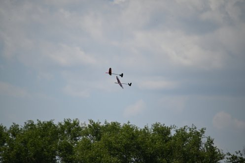 028-ARE_3966