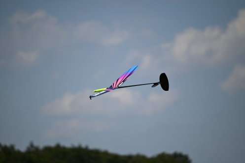 032-ARE_3983