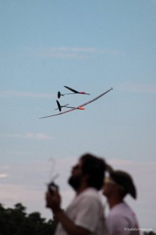 054-IMG_5479