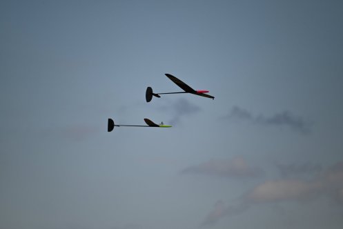 065-ARE_4594