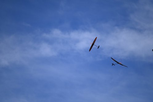 103-ARE_4662