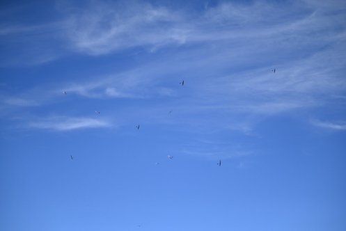 104-ARE_4666
