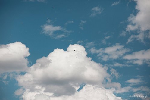 130-IMG_6868