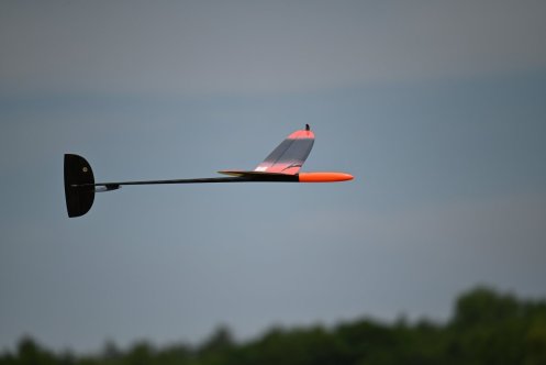 350-ARE_5309