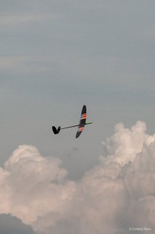 375-IMG_8689