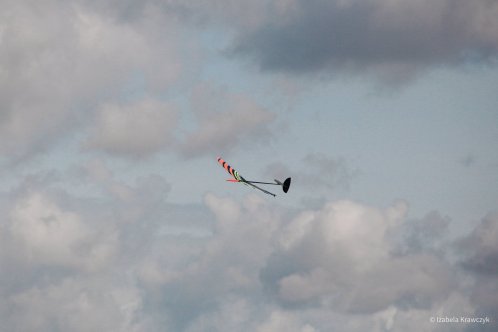 042-IMG_0374