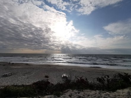 205-IMG_20240818_180039