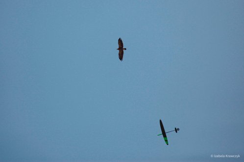 130-IMG_2911